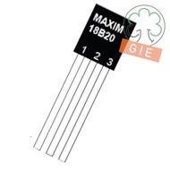 DS18B20 Temperature Sensor