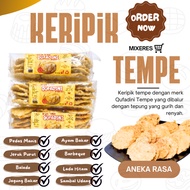 Premium snack chips, salted tempeh chips, savory thin tempeh chips