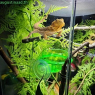 NYTRO Reptile Feeding Dish Escape Proof Ledge Accessories Gecko Worm Bowl