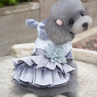 Influencer Teddy Dog Clothes Autumn Winter Clothes Princess Skirt Two-legged Clothes Cat Pomeranian 