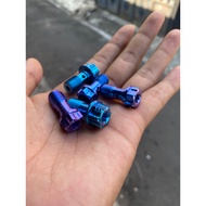 Caliper bolts titanium banjo/