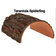 Tarantula Hide (Tarantula Sling, Read Description)