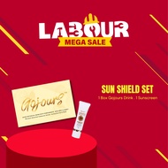GOJOURS SUN SHIELD SET