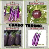 Combo Benih biji Terung Murah (Terung panjang/ terung pendek/ terung mini/ terung bulat) Home Garden