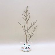1元加購價 卡斯比亞乾燥花 療癒小物 花語長久的愛情