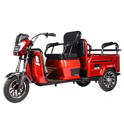 China Cheap Electric Bike 3 Wheel Fat Tire For The Disabled And Adult Electric Tricycle