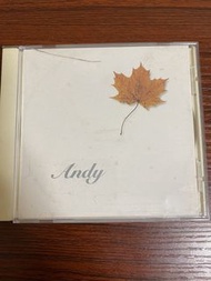 劉德華 CD 天意 CD