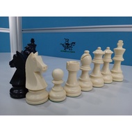 Chess Fruit Type DGT German Knight Free Pouch - Premium Imported Plastic International Standard FIDE