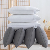 New Product Hotel Unilateral Simple Style Square 2025 Pillow Core High Elastic Bilateral Down Velvet