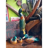 / Decorations, Duck Terrace or Living Room Decorations