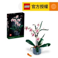樂高 - LEGO® Icons 10311 蘭花 (花藝,DIY,玩具,家居飾品,擺飾,聖誕,新年,母親節,禮物)