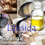 Pure Galangal Essential Oil 25 ml Minyak Atsiri Rimpang Lengkuas