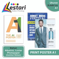 -Print Poster A1 Albatros Material/ Luster/Photopaper - albatros, laminating matte