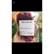 Dried Dragon Fruit Dehydrated Fruit/