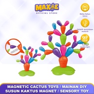 Magnetic Cactus Toys DIY Magnetic Cactus Stacking Toy/ Sensory Toy