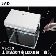 AC草影JAD 上部過濾ㄇ型LED套缸（白）一組魚缸套缸 新手魚缸 水族箱組合