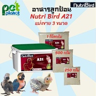 [250g.] [500g.] [1Kg.] อาหารนก อาหารลูกป้อน Nutri Bird A21 แบ่งขาย ขนาด 250 กรัม 500กรัม 1กิโลกรัม ข