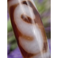 💥Ready Stock💥 30.4mm x 10.2mm 玉化 虎牙金钱勾天珠 Tiger Tooth Money Hook Dzi S Hook Dzi Manik CW3665