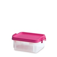 Clear Box No. 5 FX2 Lion Star