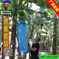 不銹鋼香蕉套袋器神器粉蕉可伸縮套袋工具設備長度可定製園林工具