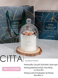 CITTA Set Quà Tặng Kèm Túi Nến Thơm Handmade ART OF THE FOREST Hoa  Khô Trang Trí Tự Nhiên
