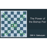 PREMIUM CHESS VIDEO | The Power Of Bishop Pair by GM Gabuzyan Chessmood