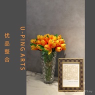 Model Room Accessories Tray 48QE