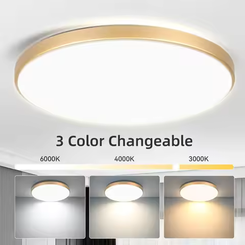 Led Ceiling Lights 220V Led Ceiling Lamp 18W 30W 40W 50W Lighting for Living Room Led Lights Fixture