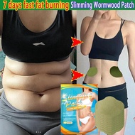 Slimming Patch Slimming Patch Quick Weight Loss Original Weight Loss Ai Cao Patch 10pcs 懒人艾草贴 Lazy A