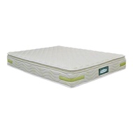 King Koil Posture Support Premiere Pocketed Spring Pillow Top Mattress (NON FLIP, EXTRA FIRM)