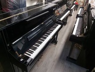 多台新款油壓Yamaha U1 鋼琴