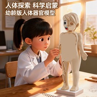 3D Body Puzzle Set Human Body Assembly Model Montessori Learning Toys