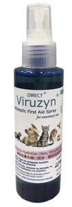 DIRECT - 衞護先 除菌消毒潔淨神仙水噴霧 (120ml) Viruzyn 皮膚潔淨 傷口清潔 最佳使用日期:05/2026
