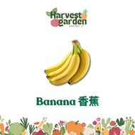 Banana 香蕉 1Comb (1kg+/-) / 3Pcs