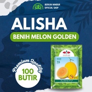 Benih Melon Alisha + Benih Melon Golden Alisha + Alisha Melon + Panah Merah Alisha