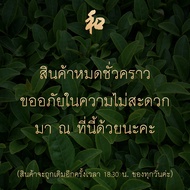 Marukyu koyamaen  Ceremonial grade matcha | มารุคิว โคยามะเอน ผงมัทฉะเกรดพิธีการ