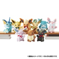 Pokemon 寶可夢 伊貝家族公仔 Eevee collection  伊布家族毛絨公仔 寵物小精靈 冰 月亮 仙子