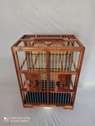 DONGDANG LEPAS MERPATI 6 PINTU JN-DONGDANG KABUR KANDANG LEPAS