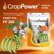 (500 GRAM) Biji Benih Kacang Pis Sweet Dream 豆宝 FP300 CROP POWER Sweet Pea Seed 甜豆种子 FP 300