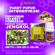 Pupuk Pohon Jengkol / Pupuk Khusus Pohon Jengkol Agar Berbuah Lebat / Pupuk Tanaman Jengkol / Pupuk 