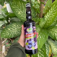 KORDIAL BUAH BUAHAN DING FONG