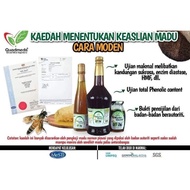 Madu Tualang Asli Madu Quad 430g Madu Hutan Original