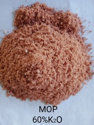 MOP 25KG - Fertilizer for plants (Baja) - MURIATE OF POTASH