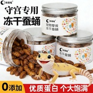 Gecko Food Freeze-Dried Silkworm Chrysalis Leopard Print Hainan Big Ear Gecko Eyelash Horn Gecko Fat