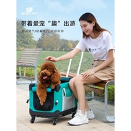 Pet Trolley Bag for Walking Dogs, Travel Suitcase, Dog Stroller, Cat Folding Cage, Multifunctional P