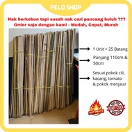 Buluh Pancang Pokok 1 ikat 25 Batang 110cm/50cm Bamboo Plants Stakes Ikat Pokok Cili Kacang Rose Bun