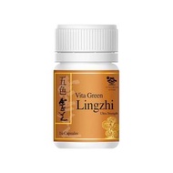 維特健靈- 五色靈芝 - 10粒