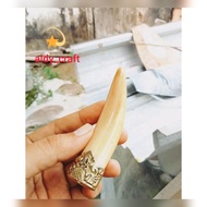 once pipa rokok taring duyung (tarduy) mini
