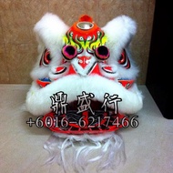 FOSHAN Lion Dance Set Chinese Traditional Costume Performance Training