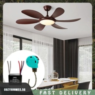 [cozyroomss.sg] Fan Speed Control Switch Ceiling Fan Capacitor 5 Wire 250V Fan Pull Chain Switch